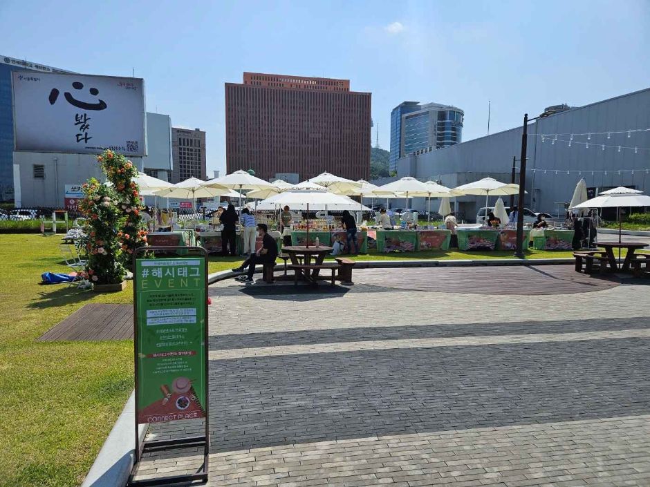 서울_서울역 옥상정원 (5)