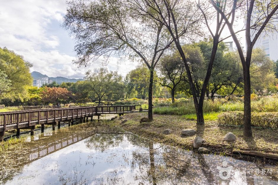 서울_서울창포원 (16)