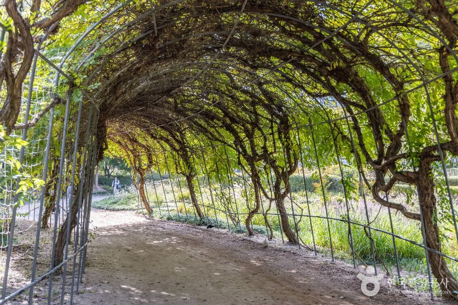 서울_서울창포원 (24)