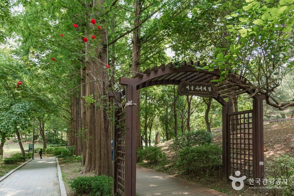 서울_서초문화예술공원 (3)