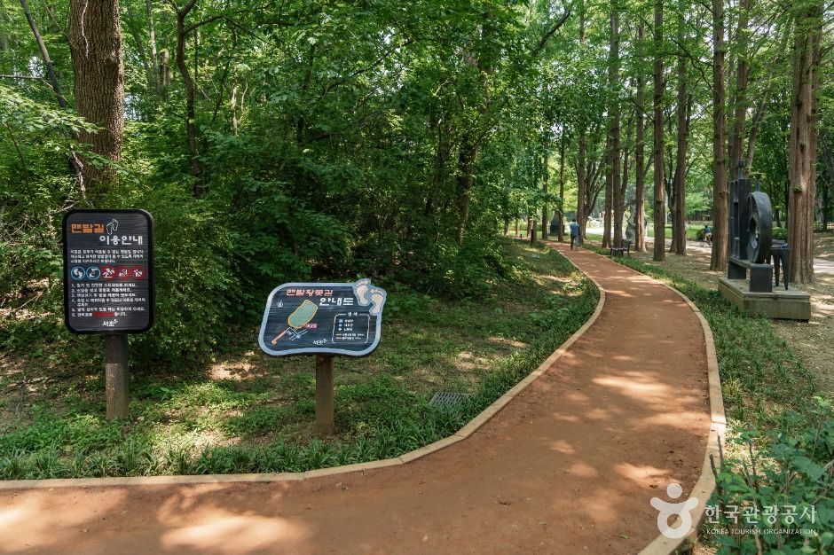 서울_서초문화예술공원 (4)