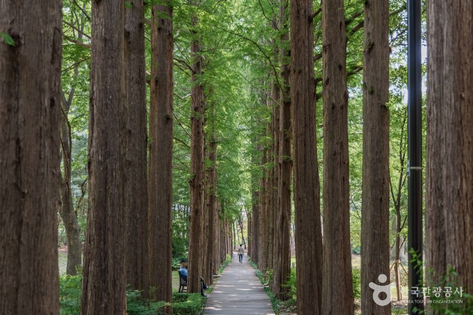 서초문화예술공원