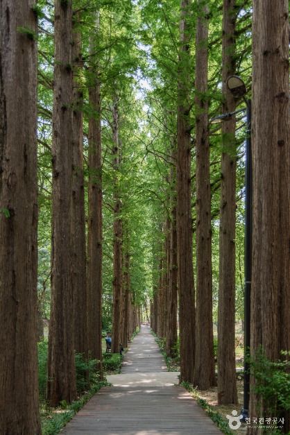 서울_서초문화예술공원 (6)