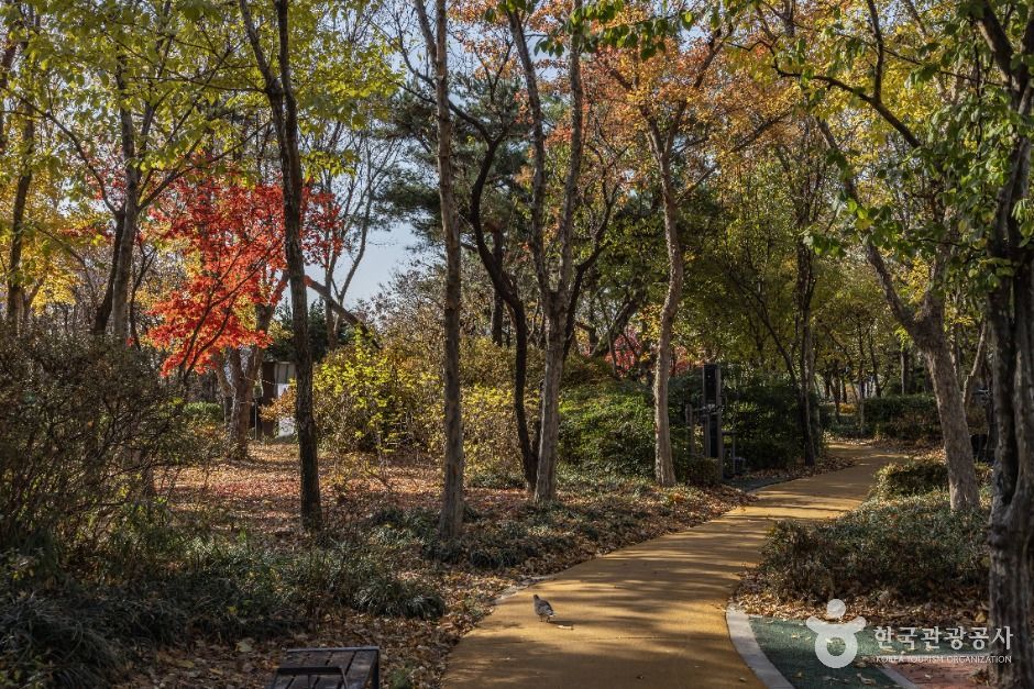 서울용산_성촌공원 (7)