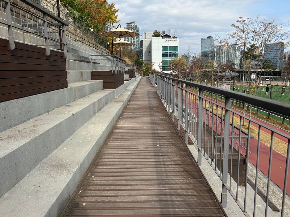 손기정체육공원 나무데크_2