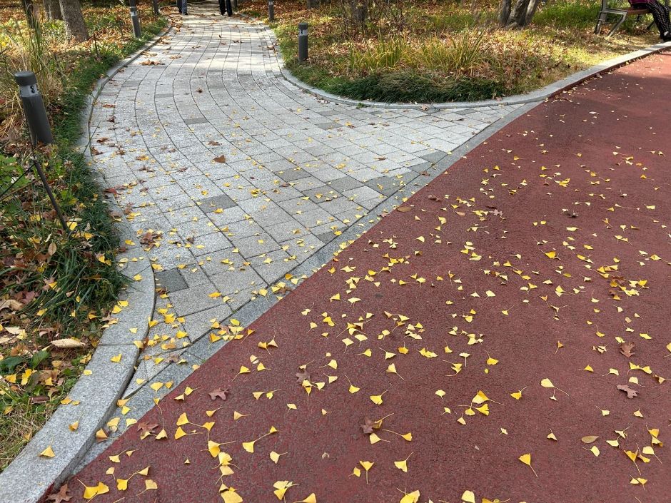 손기정체육공원 단차 없음