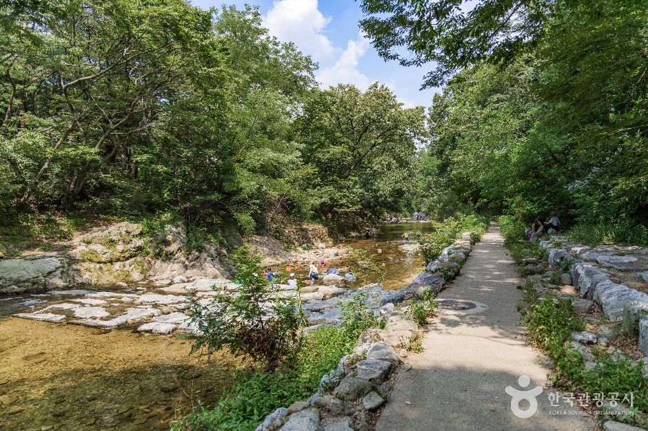 서울_신림계곡 (2)