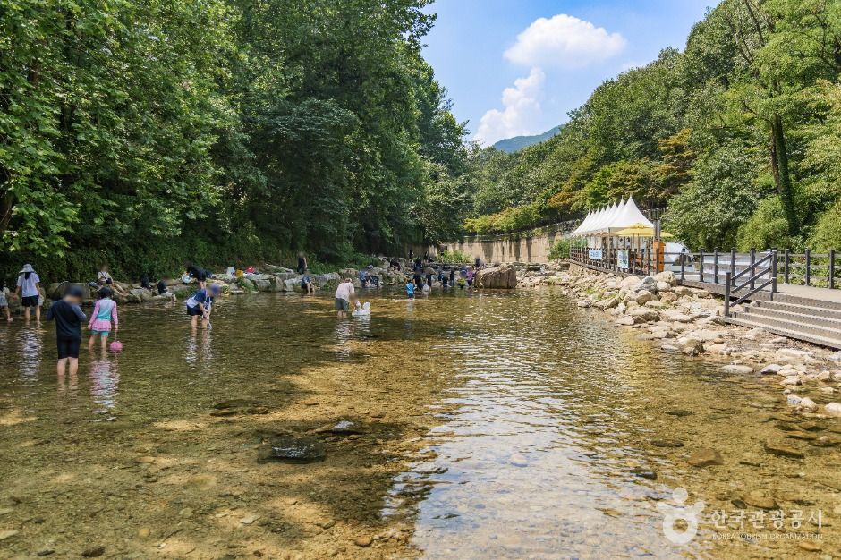 서울_신림계곡 (5)