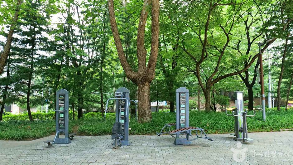 강남구_신사공원 (3)