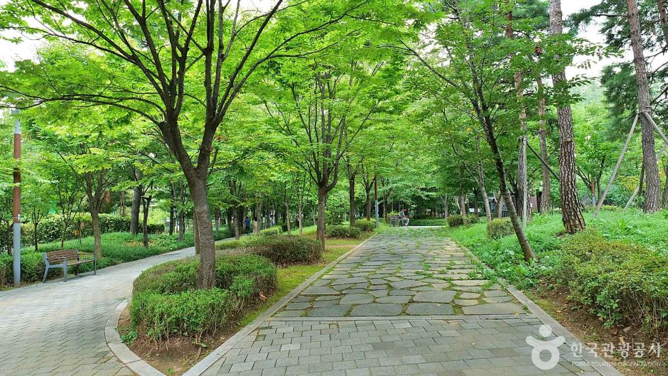 강남구_신사공원 (6)