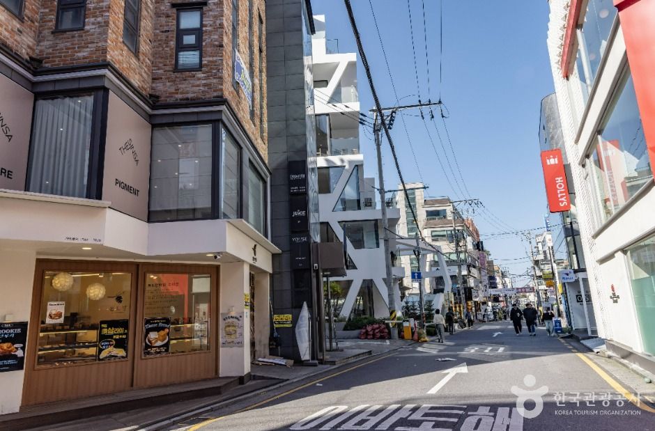 서울_신사동 가로수길 (3)