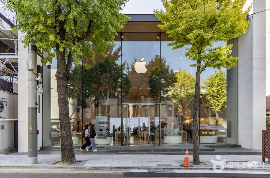 서울_신사동 가로수길 (6)