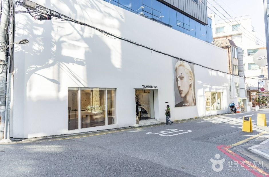 서울_신사동 가로수길 (7)