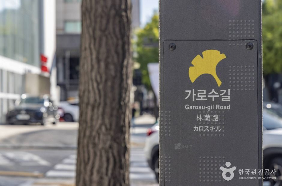 서울_신사동 가로수길 (5)