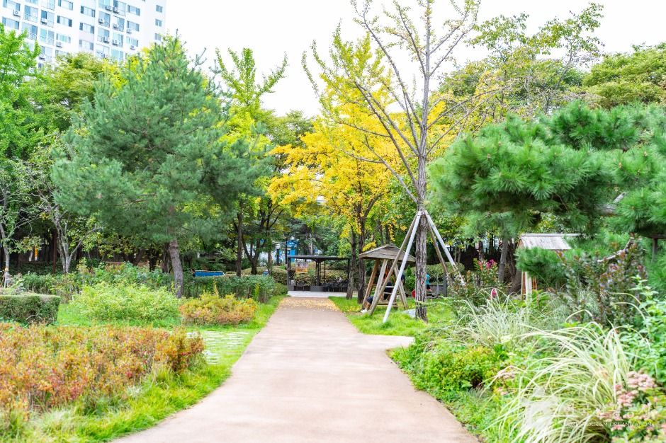 서울_신트리공원(서울) (1)