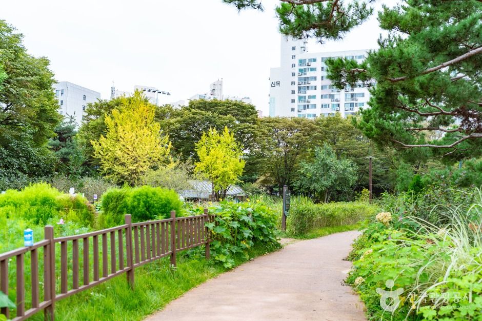 서울_신트리공원(서울) (5)