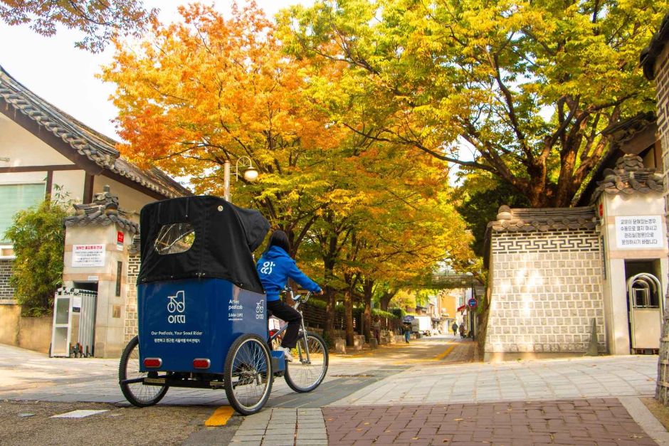 서울_아띠인력거 (2)
