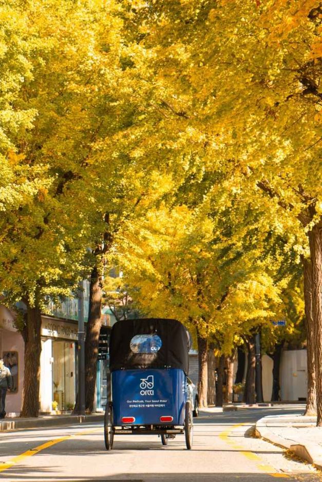 서울_아띠인력거 (3)