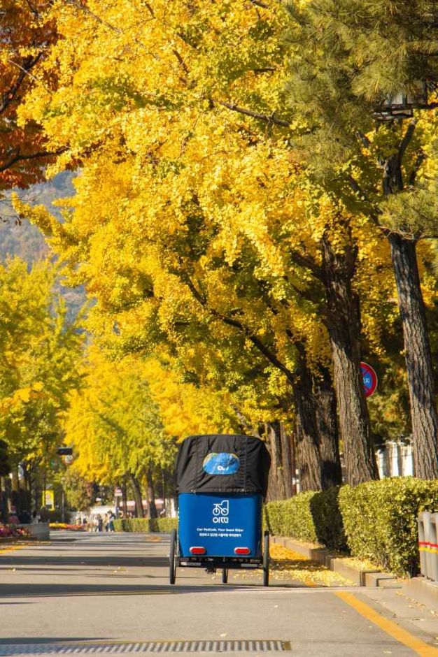 서울_아띠인력거 (11)