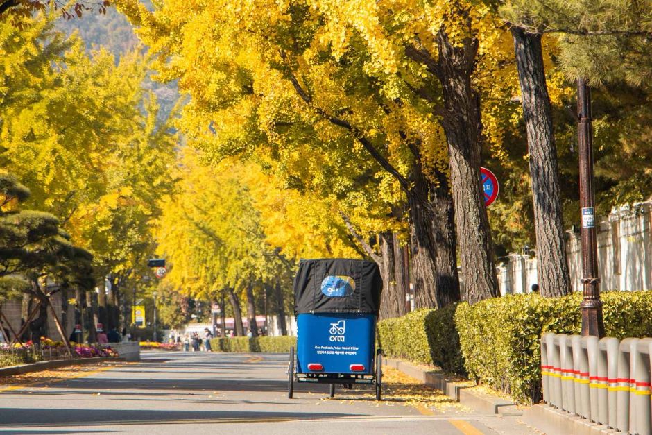 서울_아띠인력거 (12)