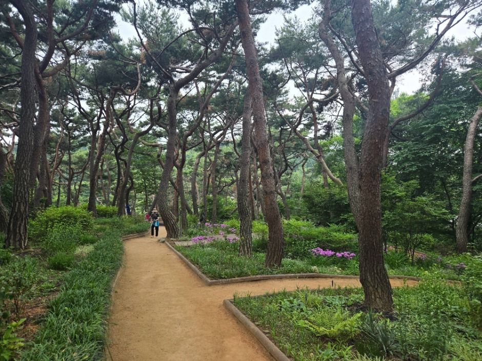 서울_아차산 (6)