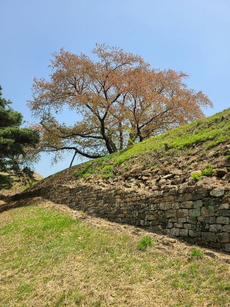 서울_아차산성 (5)