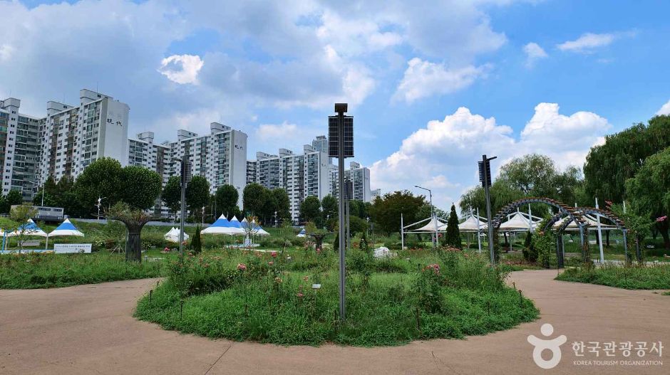 서울_양천_안양천 사계절 테마원 (5)