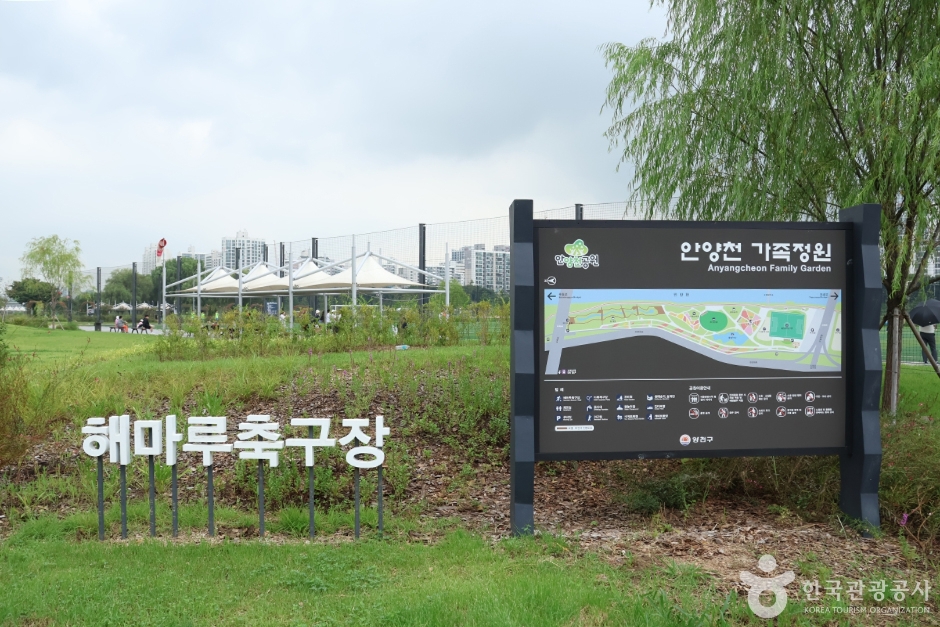 안양천생태공원 (2)