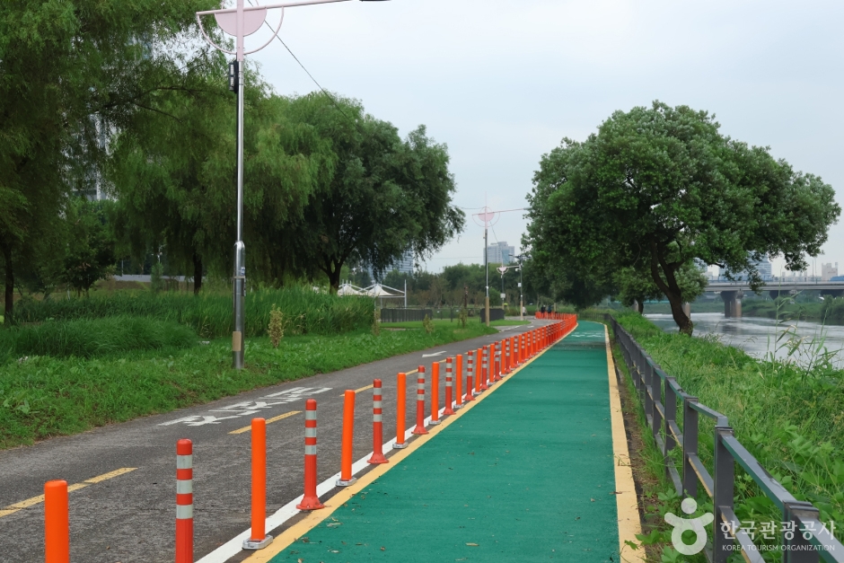 안양천생태공원 (7)