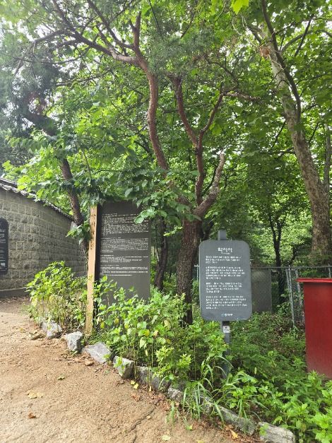 서울_약사사(서울) (2)