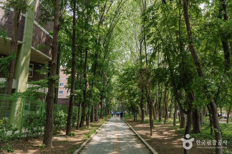 서울_양재근린공원 (2)