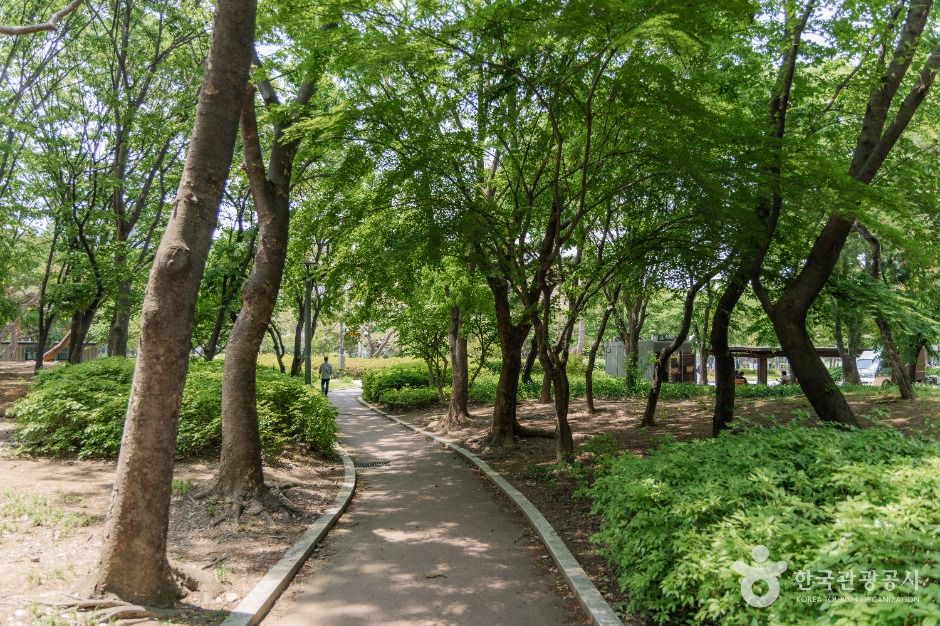 서울_양재근린공원 (5)