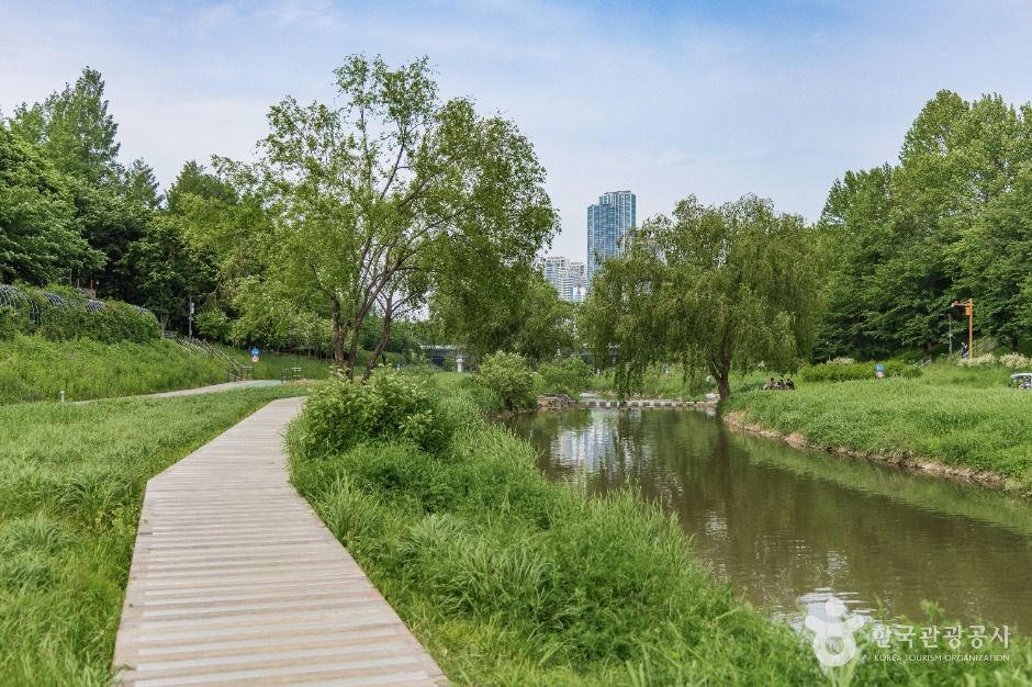 서울_양재천 근린공원 (1)