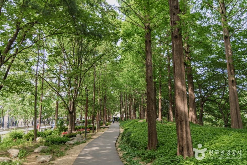 서울_양재천 근린공원 (4)