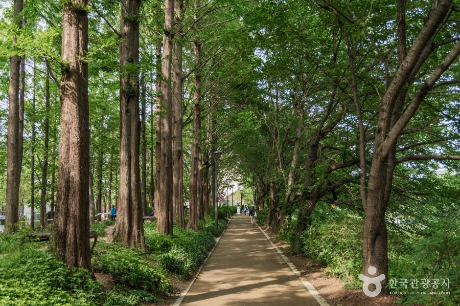 서울_양재천 근린공원 (5)