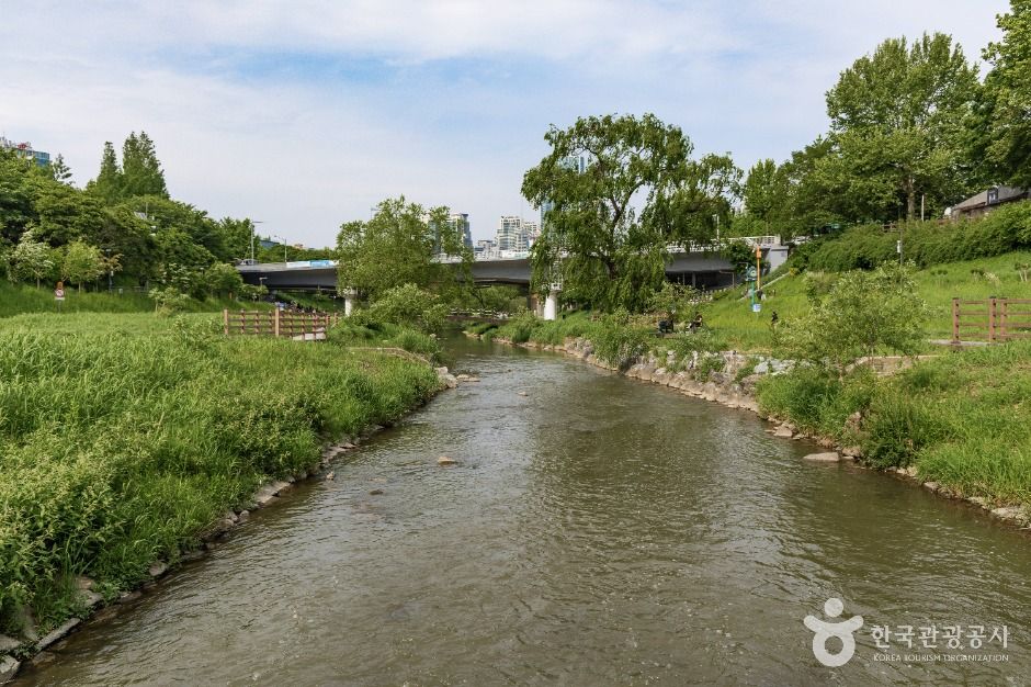 서울_양재천 근린공원 (6)