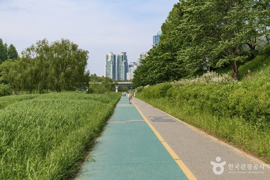 서울_양재천 근린공원 (7)