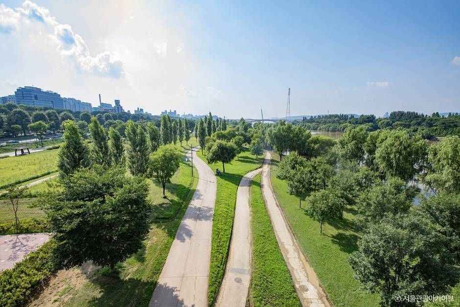 양화한강공원 (1)