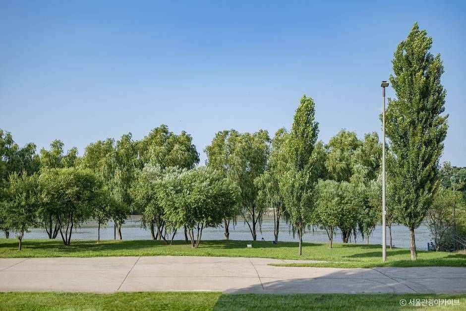 양화한강공원 (4)