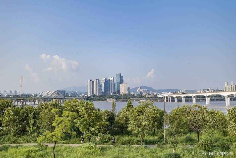 양화한강공원 (5)