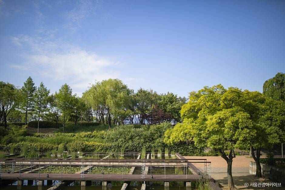 양화한강공원 (6)