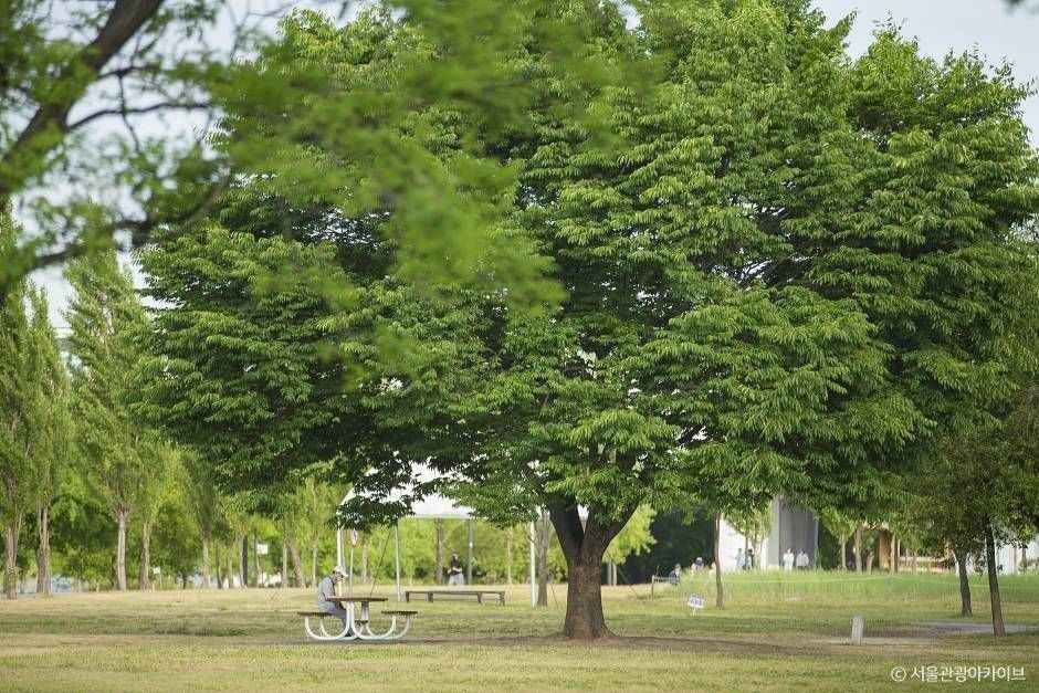 양화한강공원 (7)