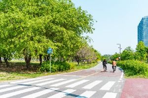 여의도 둘레길(여의도 자전거도로)