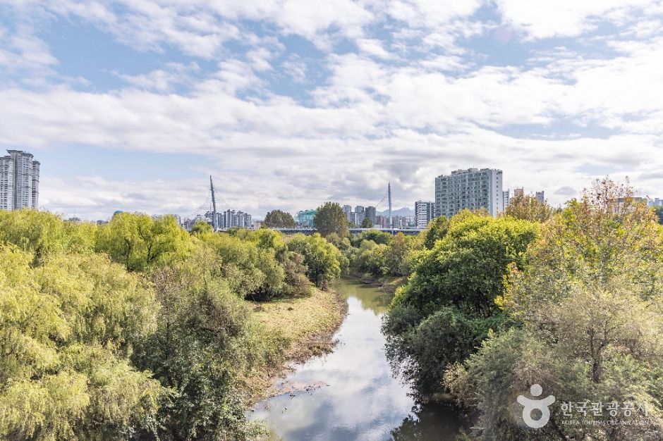 서울_여의도샛강생태공원 (3)