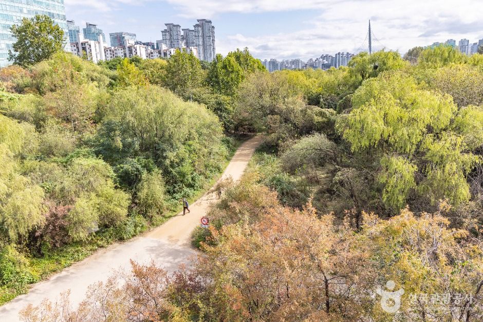 서울_여의도샛강생태공원 (2)