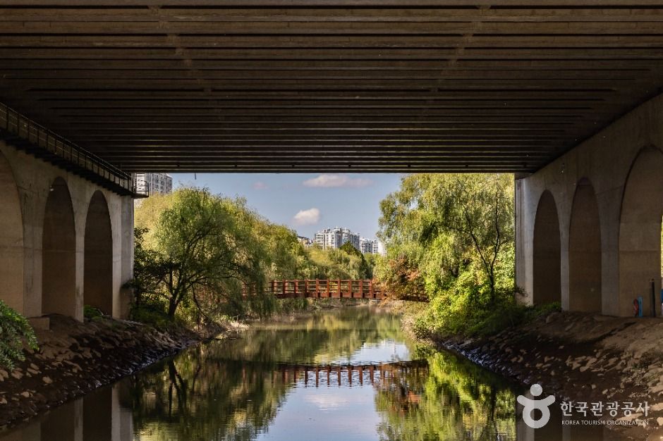 서울_여의도샛강생태공원 (6)