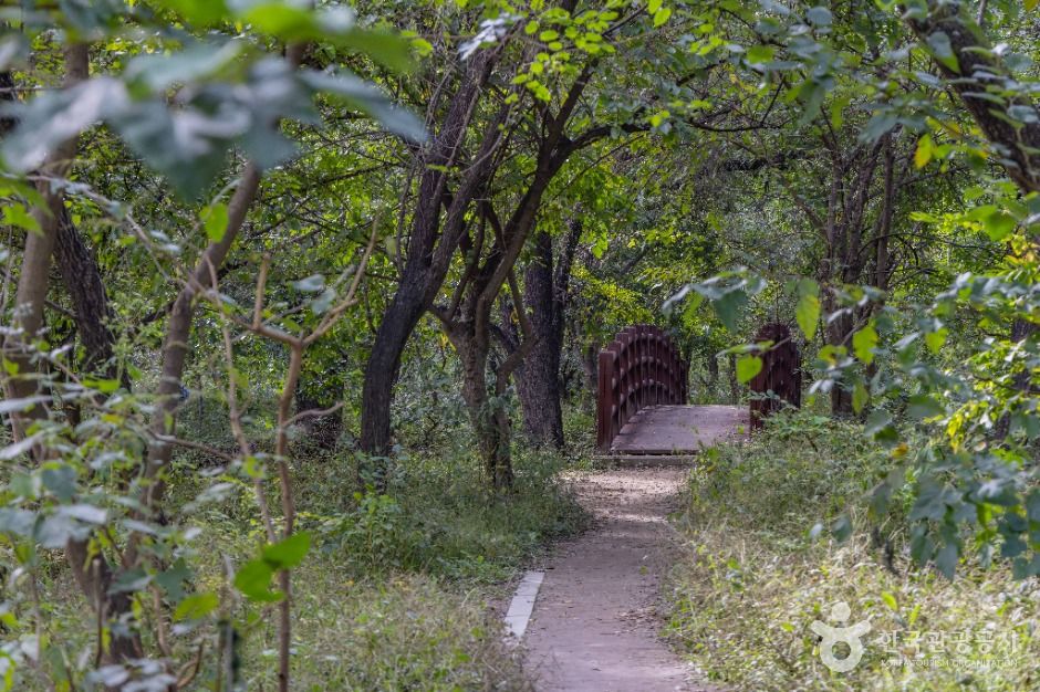 서울_여의도샛강생태공원 (9)