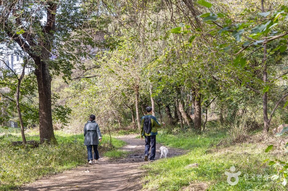 서울_여의도샛강생태공원 (8)