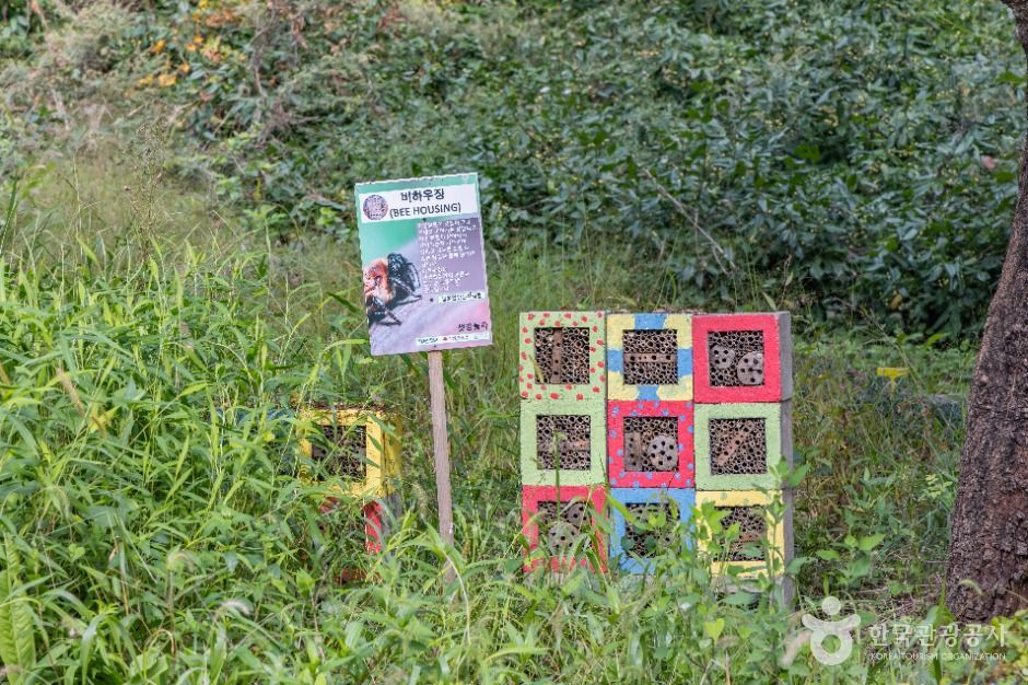 서울_여의도샛강생태공원 (11)