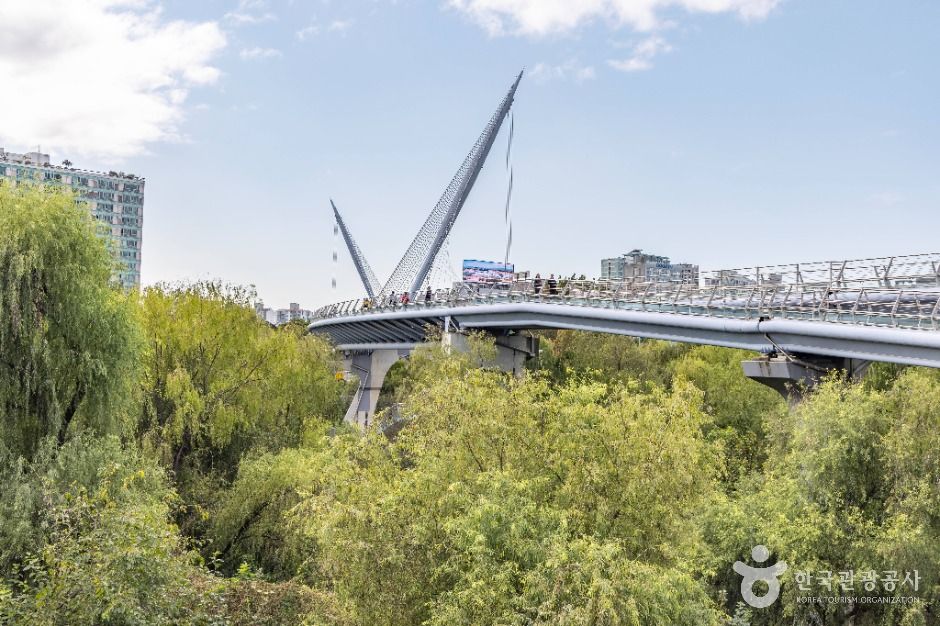 서울_여의도샛강생태공원 (16)